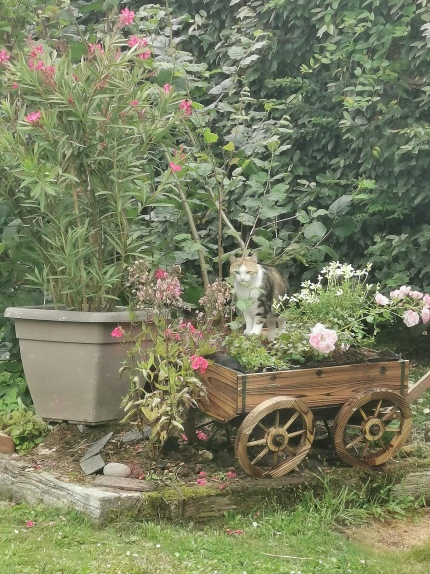 Champagne Séjour chez l'habitant *